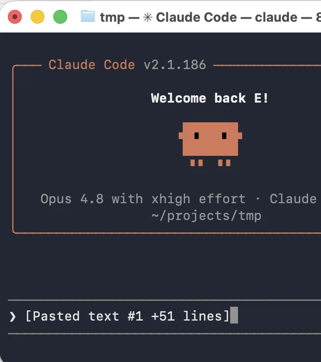 Paste the copied instructions into Claude Code
