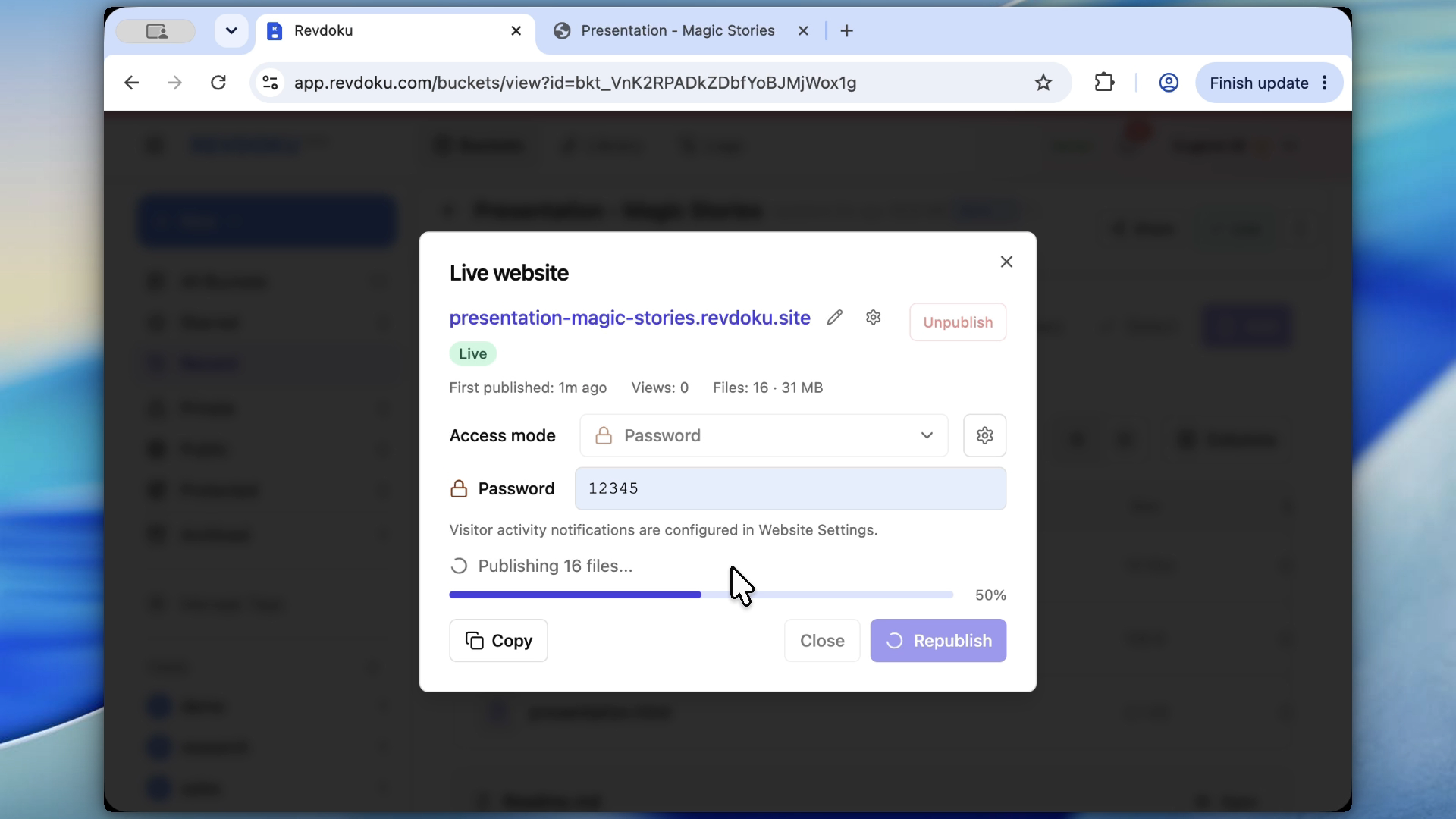 Revdoku password access settings for a published site